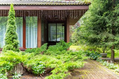 photo 12809_12642_6893618f9f7c0_thumb.jpg