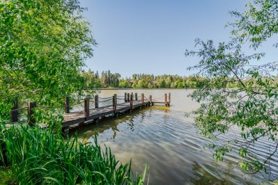 photo 12810_68340d5ed03ef_thumb.jpg