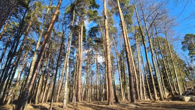 photo 12812_67dc1c579e556_thumb.jpg