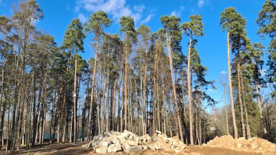 photo 12812_67dc1c7246d98_thumb.jpg