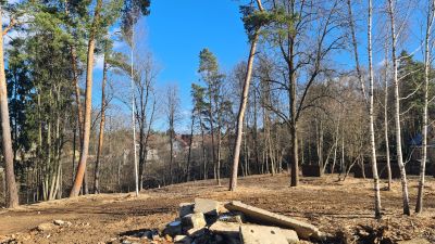 photo 12812_67dc1c76e051e_thumb.jpg