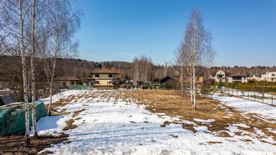 photo 69d37a7bf1e49_thumb.jpg