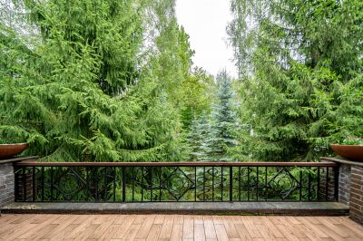 photo 12835_12809_12642_689360fecfeac_thumb.jpg