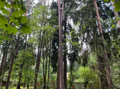 photo 6a2ac247bb7cb_thumb.jpg