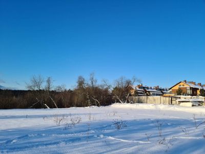 photo 63bdba108819f_thumb.jpg