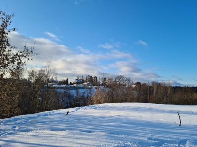 photo 63bdba113857b_thumb.jpg