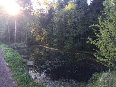 photo 63bdc9f44b5da_thumb.jpg