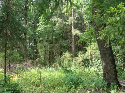 photo 63bdcfa208383_thumb.jpg