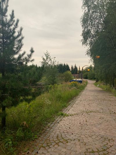 photo 63bdea9371a50_thumb.jpg