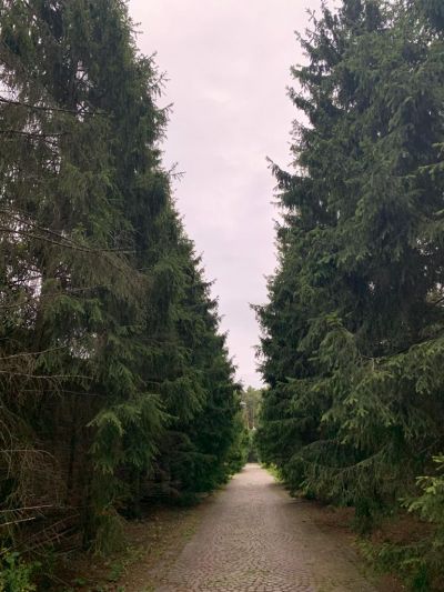 photo 63bdea96eec73_thumb.jpg