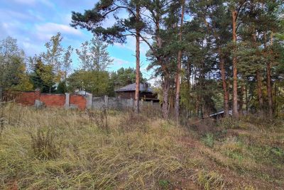 photo 63bdee325ff7e_thumb.jpg