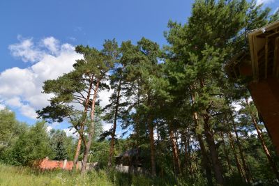 photo 63bdee335dce2_thumb.jpg