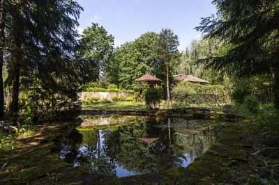 photo 63be0a70d5372_thumb.jpg