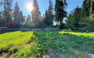 photo 67e27acdb73c1_thumb.jpg