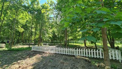 photo 63be106e932a5_thumb.jpg