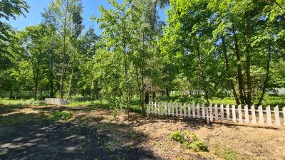 photo 63be107391b26_thumb.jpg