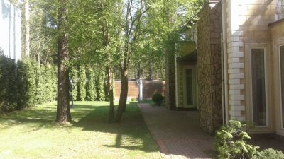 photo 63be1caf1480f_thumb.jpg